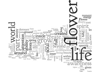 Characteristics of Soul