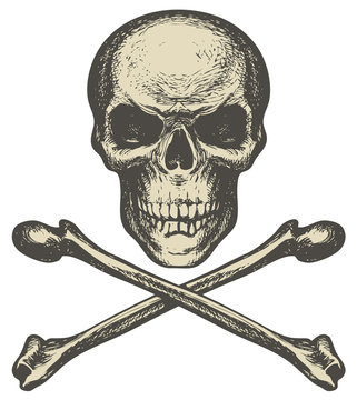Sketch vector illustration, hand drawn human skull and crossbones isolated on white background. Jolly Roger. Pirate symbol or danger warning sign