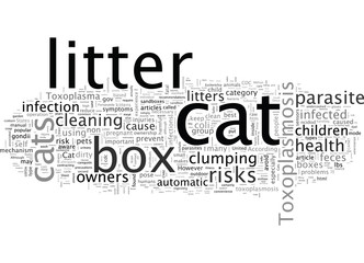Cat Litter Box Health Considerations