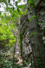 Natural Arch Scenic Area, Kentucky