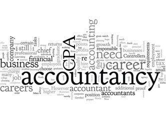 Fototapeta premium Careers in Accountancy