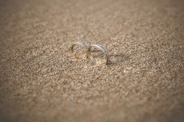 Fototapeta na wymiar Wedding rings for the bride and groom.