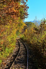 a railway among the autumn trees