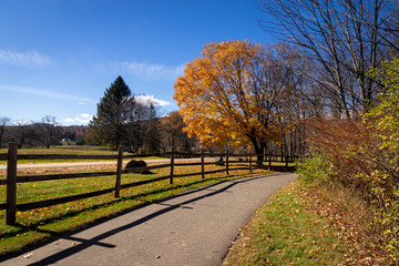 Fototapeta na wymiar Stowe Vermont Recreation Park scenic at fall
