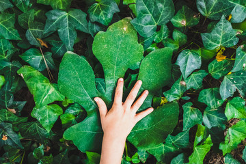Child worried about the environment, caresses a large leaf on green natural background.