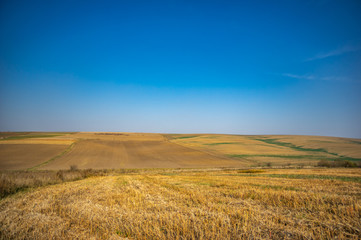Fototapeta premium Sown field in autumn day