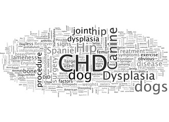 Canine Hip Dysplasia CHD