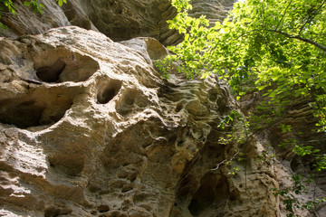 Natural Arch Scenic Area, Kentucky