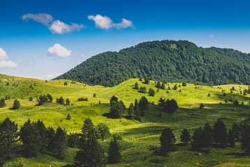 landscape in the mountains