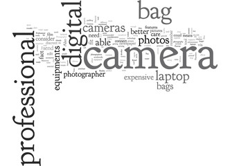 camera bag laptop