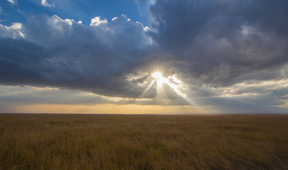 Natural landscape from Africa. Masai mara national park with its incredibles animals and colours.