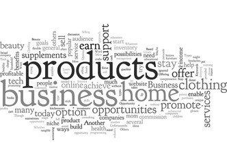 Business Opportunity Ideas for the Stay at Home Mom