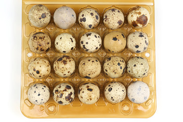 quail eggs in a box close-up on a white background
