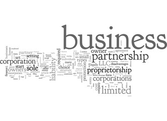 Business Entities What Are The Choices