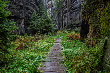 Wooden footpath between rocks in forest - Adrspach-Teplice Rocks (nature reserve in Broumov Highlands region of Czech Republic)
