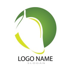 mango fruit logo vector