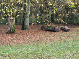 Herbststimmung am Furpacher Weiher bei Neunkirchen im Saarland