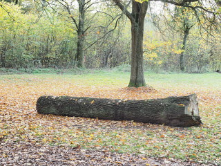 Herbststimmung am Furpacher Weiher bei Neunkirchen im Saarland