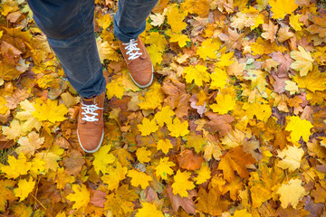 Autumn background, leaves, feet and shoes. Conceptual image of feet in sneakers on yellow autumn leaves. Shoes for nature walks. Feet sneakers walking on fall leaves. Lifestyle Fashion trendy style
