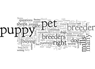 Breed success in your puppy search