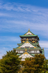 Fototapeta premium Osaka castle above treeline in Japan