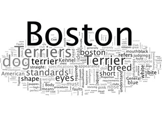 Boston Terrier The Standard and Does it Matter