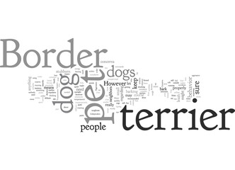 border terrier pet dog