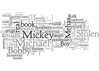 Book Review Stolen Boy By Michael Mehas