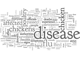 Fototapeta na wymiar Bird Flu A Chicken Raisers Nightmare