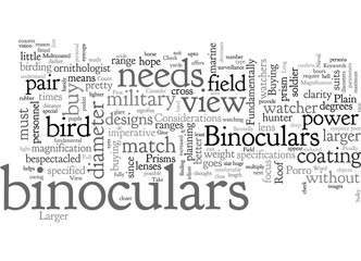 Binoculars Take A Long View