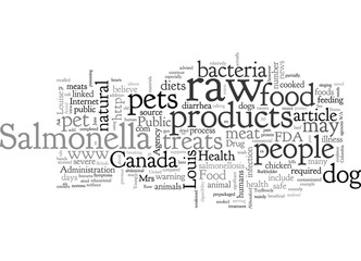 Beware of Raw Foods for Your Dog