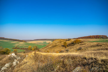 Fototapeta premium Green fields in autumn in Ukraine