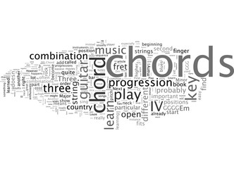 Beginner On Guitar Learn These Ten Chords