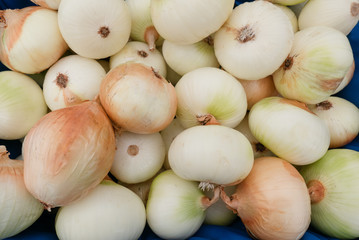 Close up of peeled onions at the market