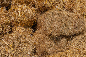 Fresh straw hay bales, food for cattle.