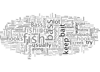 bass fishintips