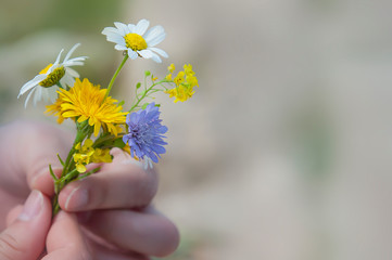 Wild flowers in her hands. Greece.
