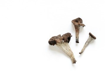 black chanterelle mushrooms on a white paper background