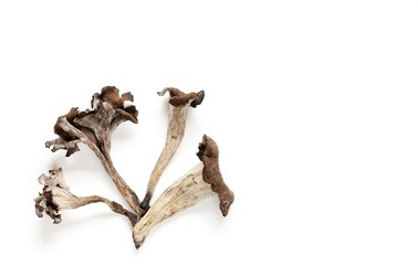 black chanterelle mushrooms on a white paper background