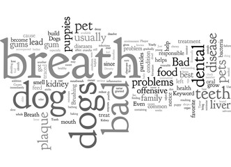 bad breath in dogs