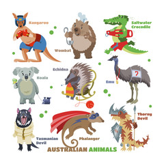 Australian animals vector cartoon animalistic character in wildlife Australia kangaroo sportsman koala crocodile in costume illustration. Set of wild wombat and emu isolated on white background