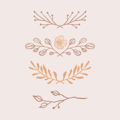 Hand drawn dividers set. Collection of floral vector borders