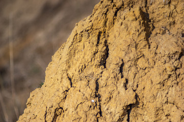 Clay texture on the edge of a cliff