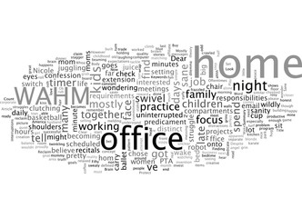 Are You A Mostly Sane WAHM Too