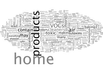 Are Homes Toxic