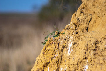 Clay texture on the edge of a cliff