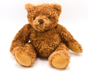 Teddy bear on a white background.