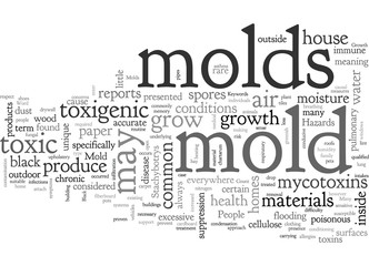 Are Black Molds Toxic