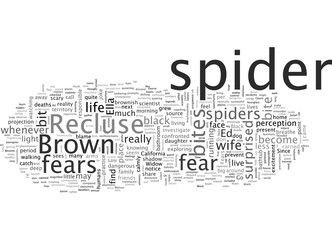 Arachnophobia And Other Fears