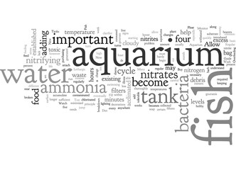 aquarium care guide